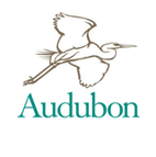 Audubon